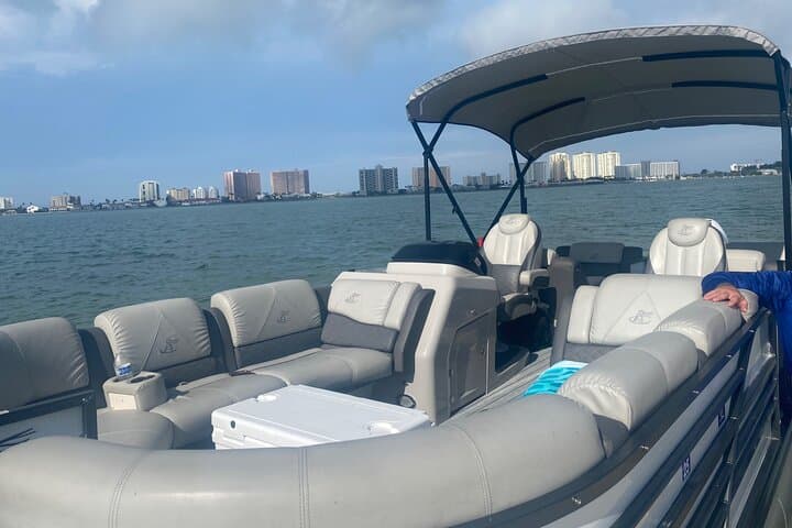 Clearwater Beach Pontoon Tours: Dolphin Watching, Island Hopping & Snorkeling