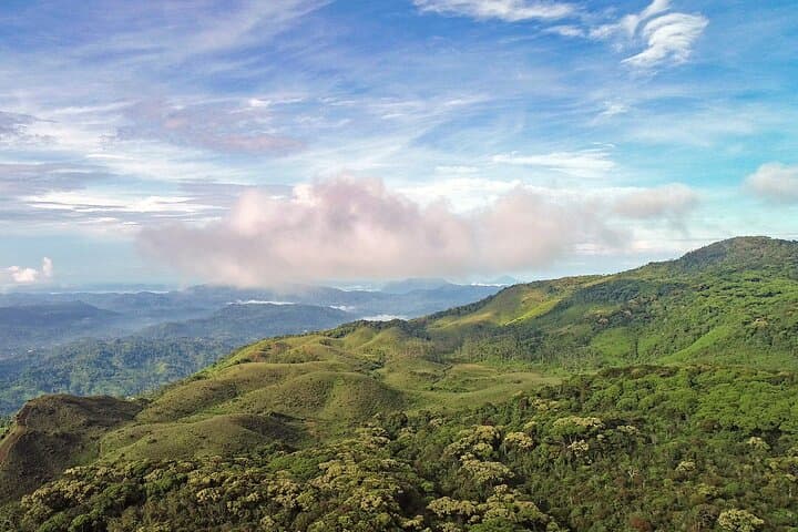 Private Tour to Sinharaja Rainforest from Colombo: Day-Trip Guide