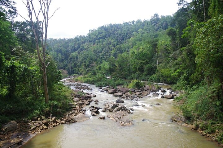 Private Tour to Sinharaja Rainforest from Colombo: Day-Trip Guide photo 2