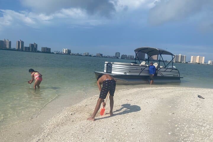 Clearwater Beach Pontoon Tours: Dolphin Watching, Island Hopping & Snorkeling photo 5