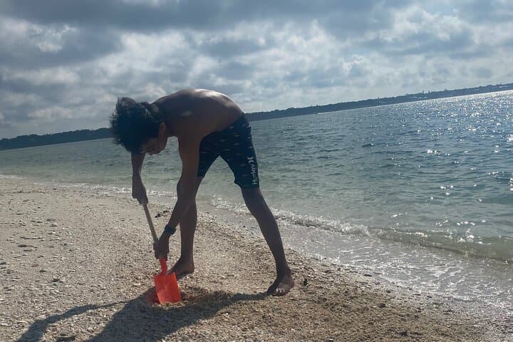 Clearwater Beach Pontoon Tours: Dolphin Watching, Island Hopping & Snorkeling photo 6