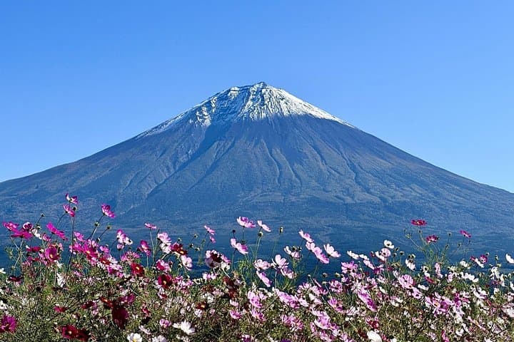 Private Mt. Fuji and Lake Kawaguchi Limousine Day Tour from Tokyo photo 4