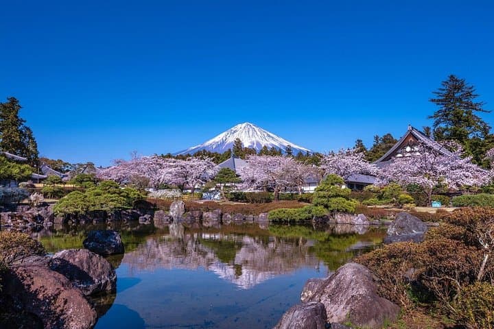 Private Mt. Fuji and Lake Kawaguchi Limousine Day Tour from Tokyo photo 3