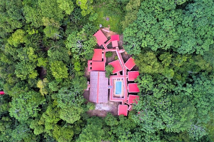 2-Day Amazon Jungle Lodge Experience at Avatar Amazon Lodge, Iquitos photo 5
