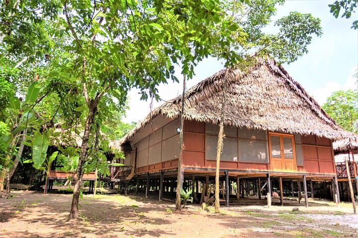 2-Day Amazon Jungle Lodge Experience at Avatar Amazon Lodge, Iquitos photo 6