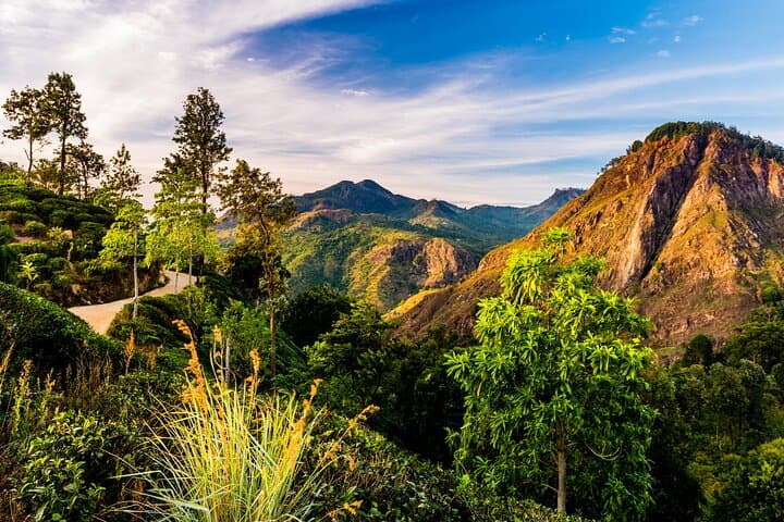 Ella Private Trek: Little Adam's Peak & Nine Arches Bridge Day Tour