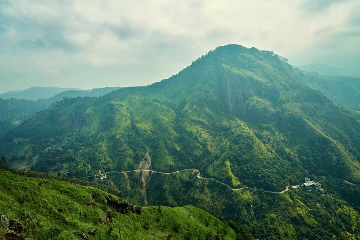 Ella Private Trek: Little Adam's Peak & Nine Arches Bridge Day Tour photo 2