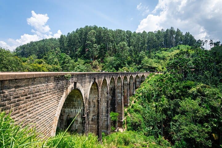 Ella Private Trek: Little Adam's Peak & Nine Arches Bridge Day Tour photo 6