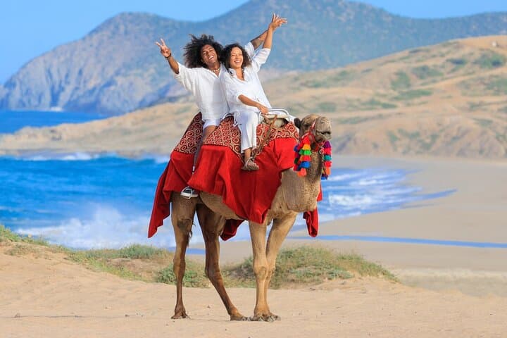 Cabo CAN-AM X3 & Camel Beach Ride — Off‑Road Thrills and Camel Encounter in Los Cabos photo 3
