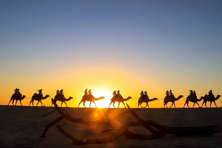 Cabo CAN-AM X3 & Camel Beach Ride — Off‑Road Thrills and Camel Encounter in Los Cabos photo 4