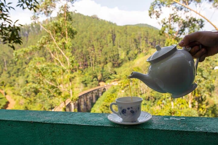Private Ceylon Tea Experience from Colombo — Ingiriya Tea Plantation & Colombo City Sights photo 2