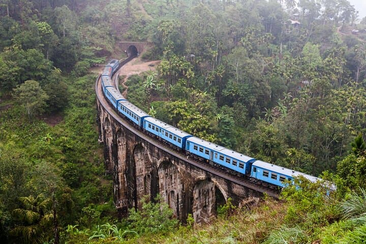 Private Ella Day Tour: Train Ride, Nine Arches & Tea Plantation