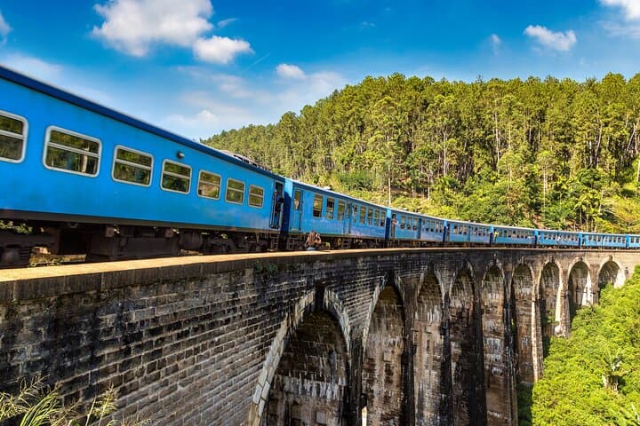 Private Ella Day Tour: Train Ride, Nine Arches & Tea Plantation photo 2