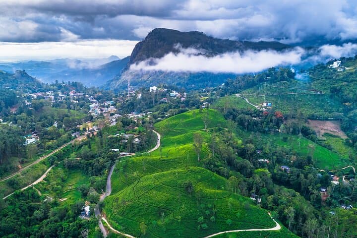 Private Ella Day Tour: Train Ride, Nine Arches & Tea Plantation photo 6