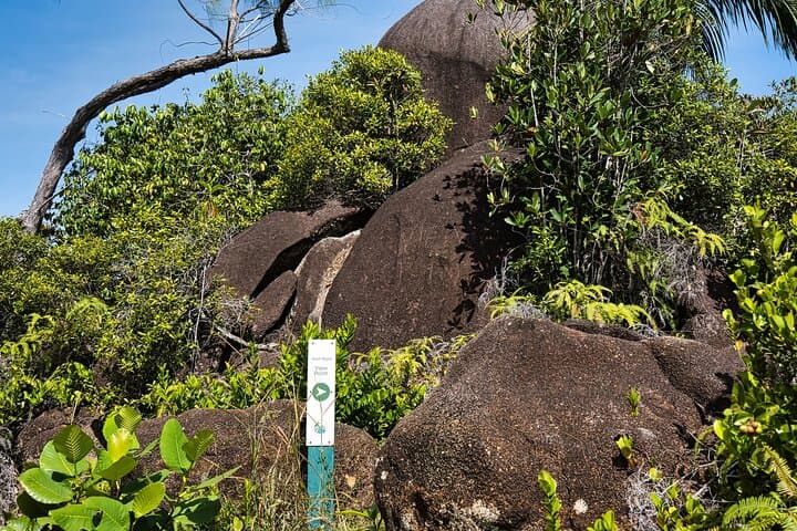 Private Hurulu Eco Park Safari from Colombo — Elephant Encounters in Sri Lanka photo 6