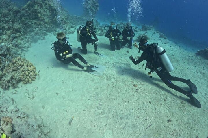 PADI Open Water Course in the Red Sea & Sinai — Hurghada Diving Certification
