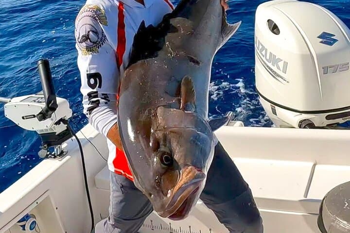 Private Sport-Fishing Day in Saint-Laurent-du-Var — Full-Day Côte d'Azur Charter