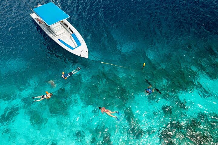 Klein Bonaire Marine Park Two-Stop Snorkel Trip from Kralendijk photo 5