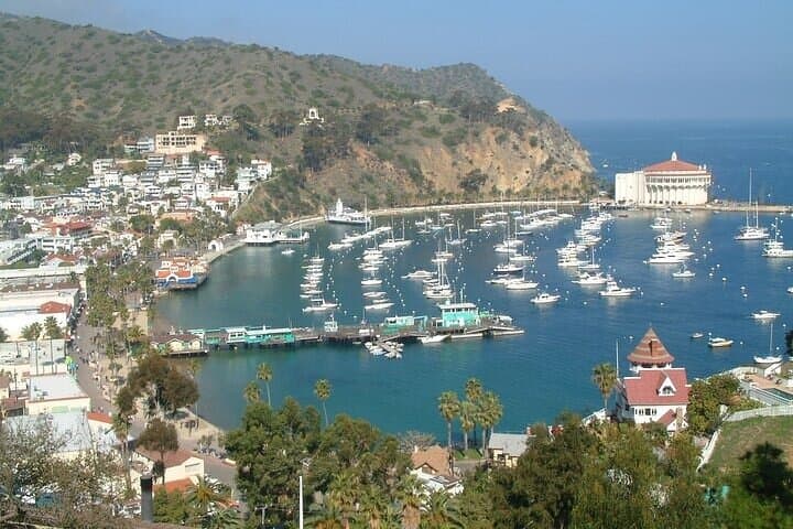 Inside Catalina: 2-Hour Eco Safari to Airport-in-the-Sky photo 6
