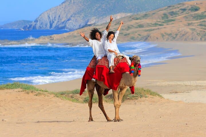 ATV and Camel Ride Combo at Migriño Beach — Dunes, Desert & Pacific Breeze photo 5