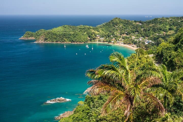 Private Island Tour of Tobago: Pigeon Point, Argyle Falls & Buccoo Reef
