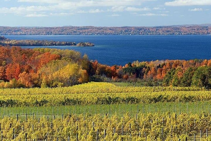 6-Hour Lake Leelanau Boat Tour: Sandbars, Wine Tastings & Leland Stops photo 2