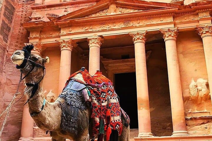 Full-Day Petra and Wadi Rum Tour from Amman — Treasury to Desert in One Day