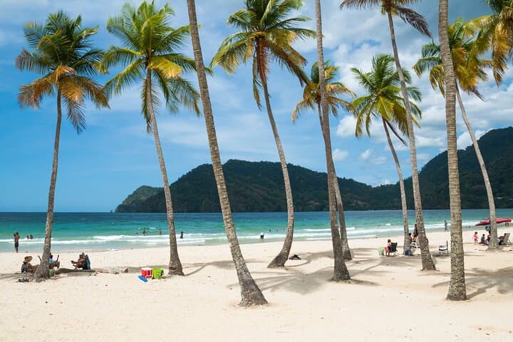 Maracas Bay Private Tour from Port of Spain — North Coast Road Beach Excursion