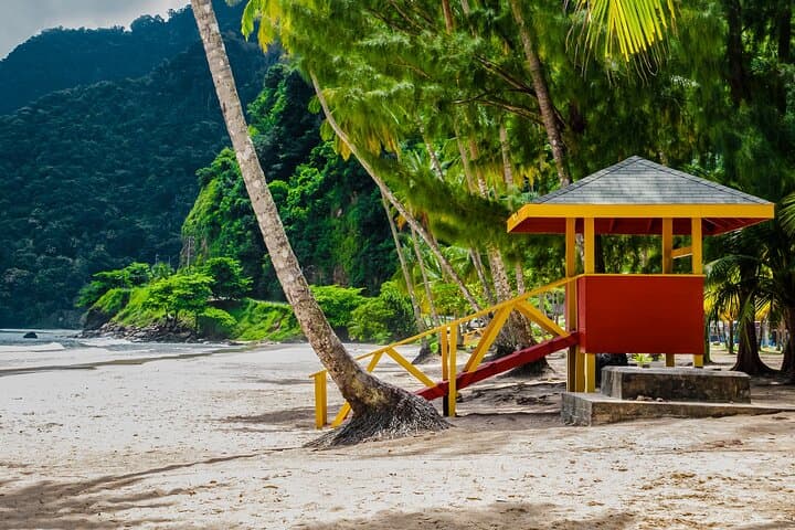 Maracas Bay Private Tour from Port of Spain — North Coast Road Beach Excursion photo 5