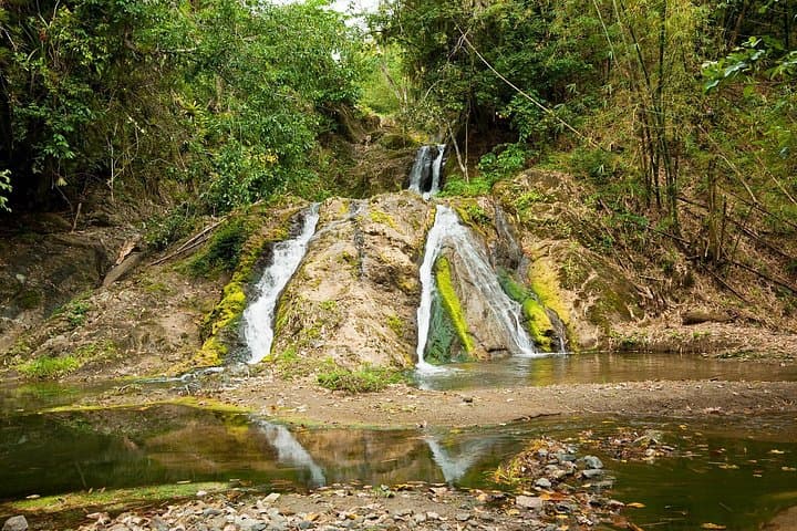 Private Aripo Waterfall Tour from Port of Spain — Northern Range Hike & Swim photo 2