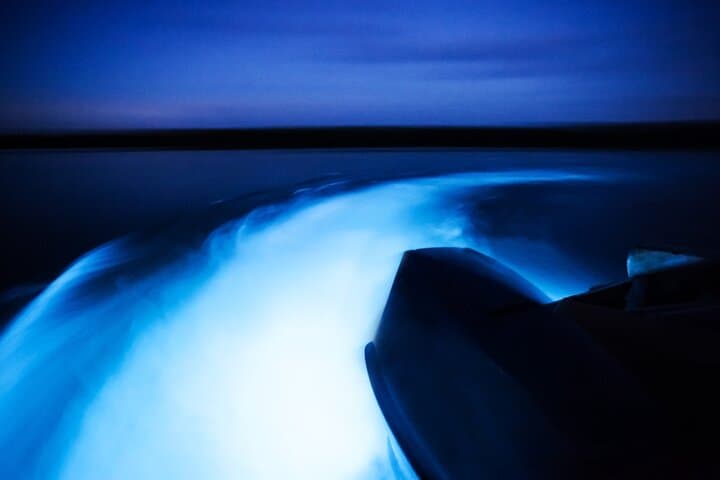 Luminous Lagoon Night Boat Tour from Runaway Bay photo 6