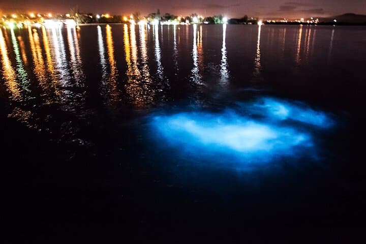 Luminous Lagoon Night Boat Tour from Runaway Bay photo 2