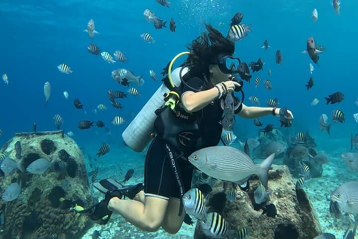 Introductory Shore Dive at Tikila Beach — Cozumel Mini Underwater Museum photo 2
