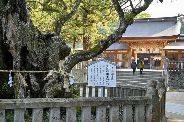 Omishima Electric E‑Bike Loop: Shrines, Art Museums and Coastal Views in 6 Hours photo 4
