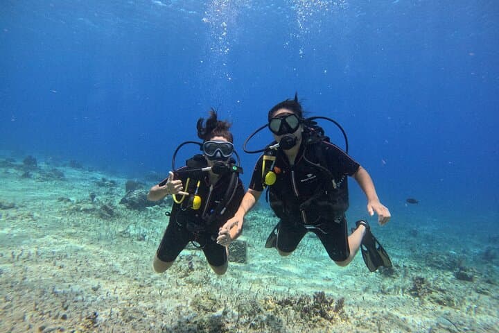 Introductory Shore Dive at Tikila Beach — Cozumel Mini Underwater Museum photo 4