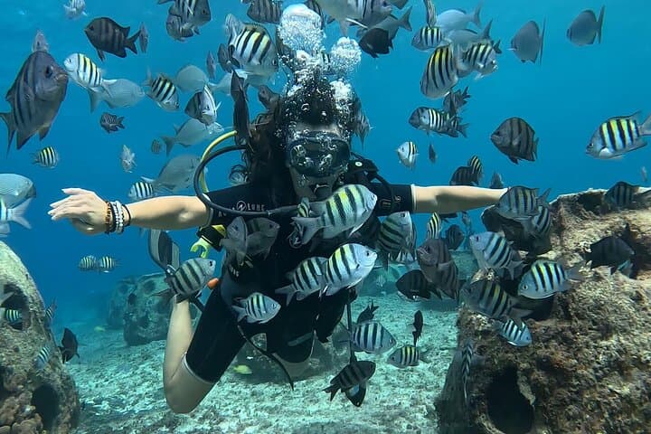 Introductory Shore Dive at Tikila Beach — Cozumel Mini Underwater Museum photo 5