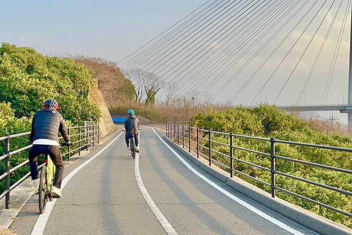 Omishima Electric E‑Bike Loop: Shrines, Art Museums and Coastal Views in 6 Hours photo 5
