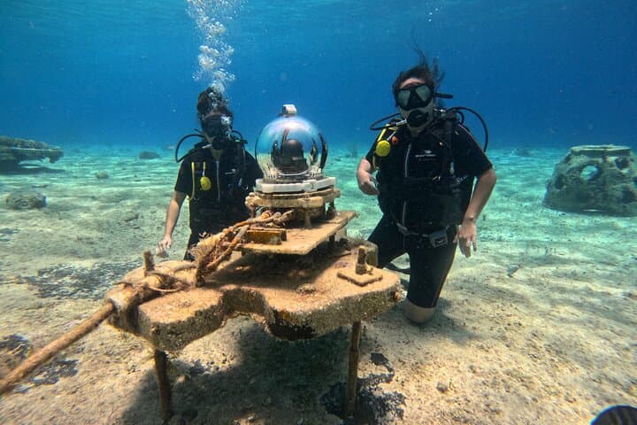 Introductory Shore Dive at Tikila Beach — Cozumel Mini Underwater Museum photo 6