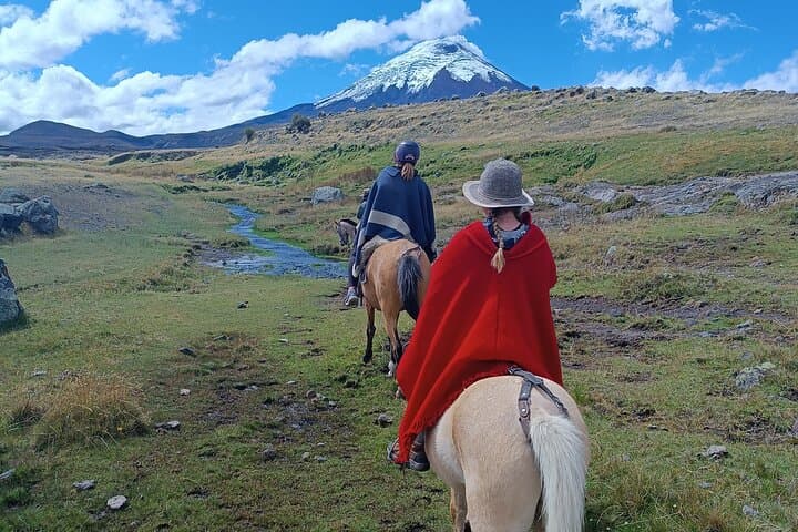 Horseback Ride & Limpiopungo Hike at Cotopaxi National Park — Private Tour from Quito