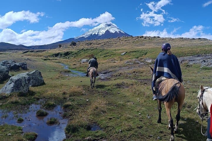 Horseback Ride & Limpiopungo Hike at Cotopaxi National Park — Private Tour from Quito photo 2