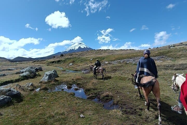 Horseback Ride & Limpiopungo Hike at Cotopaxi National Park — Private Tour from Quito photo 3