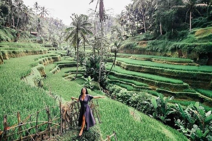 Full-Day Private Tour to Jatiluwih Rice Terrace, Ulun Danu & Banyumala Waterfall photo 3