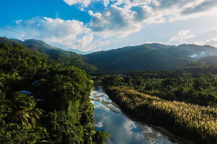 Blue Mountain Private Tour from Ocho Rios: Coffee, Clouds & Highland Views photo 5