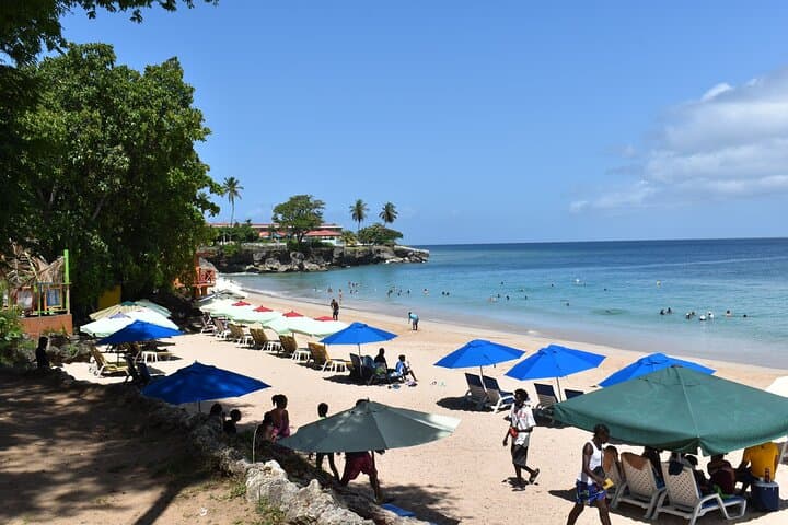 Buccoo Reef & Nylon Pool Private Boat Tour — Tobago Snorkel Excursion photo 2