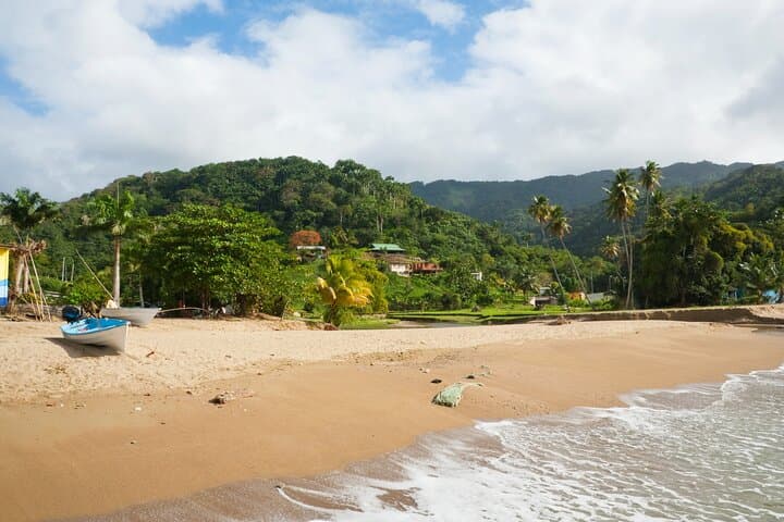 Private Tour to Englishman's Bay, Tobago — Beach & Snorkel Day Trip photo 4
