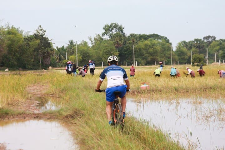 Siem Reap Country Cycling Tour with Homemade Lunch: Village Ride Through Rice Fields photo 2