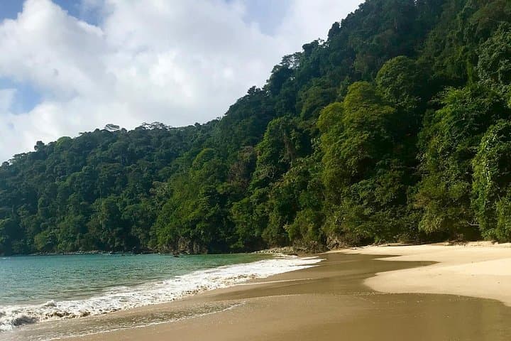 Private Tour to Pirate's Bay, Tobago: Charlotteville Snorkeling & Beach Excursion photo 4