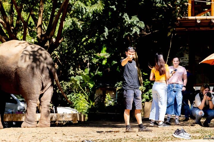 Chiang Mai Scooter Adventure: Elephants, Caves & River Views on Two Wheels photo 4