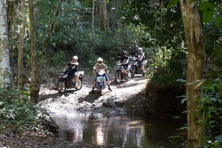 Chiang Mai Scooter Adventure: Elephants, Caves & River Views on Two Wheels photo 6