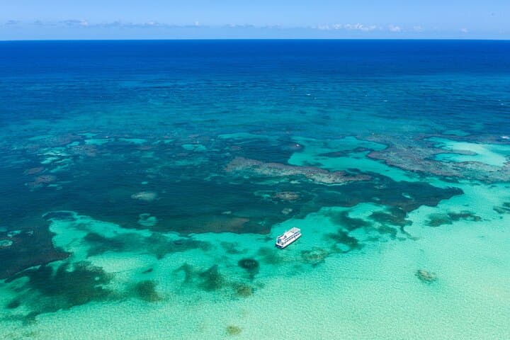Coral Snorkeling Private Tour in Punta Cana with Seafood Lunch photo 2